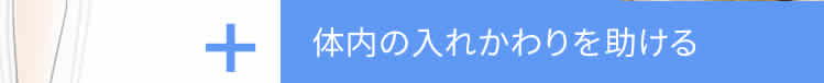 ＋ビタミンB1・B6・B12