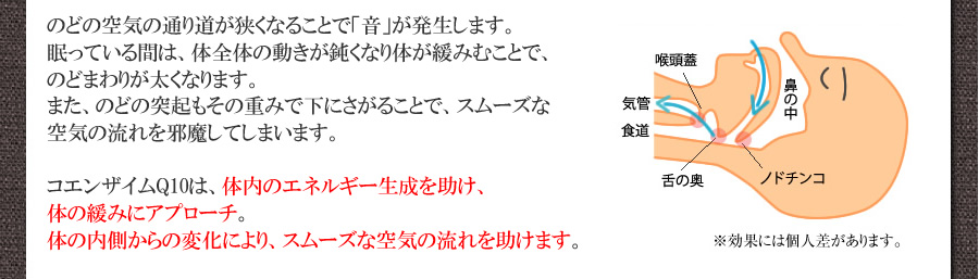 いびきは、のどの空気の通り道が狭くなって起こります。